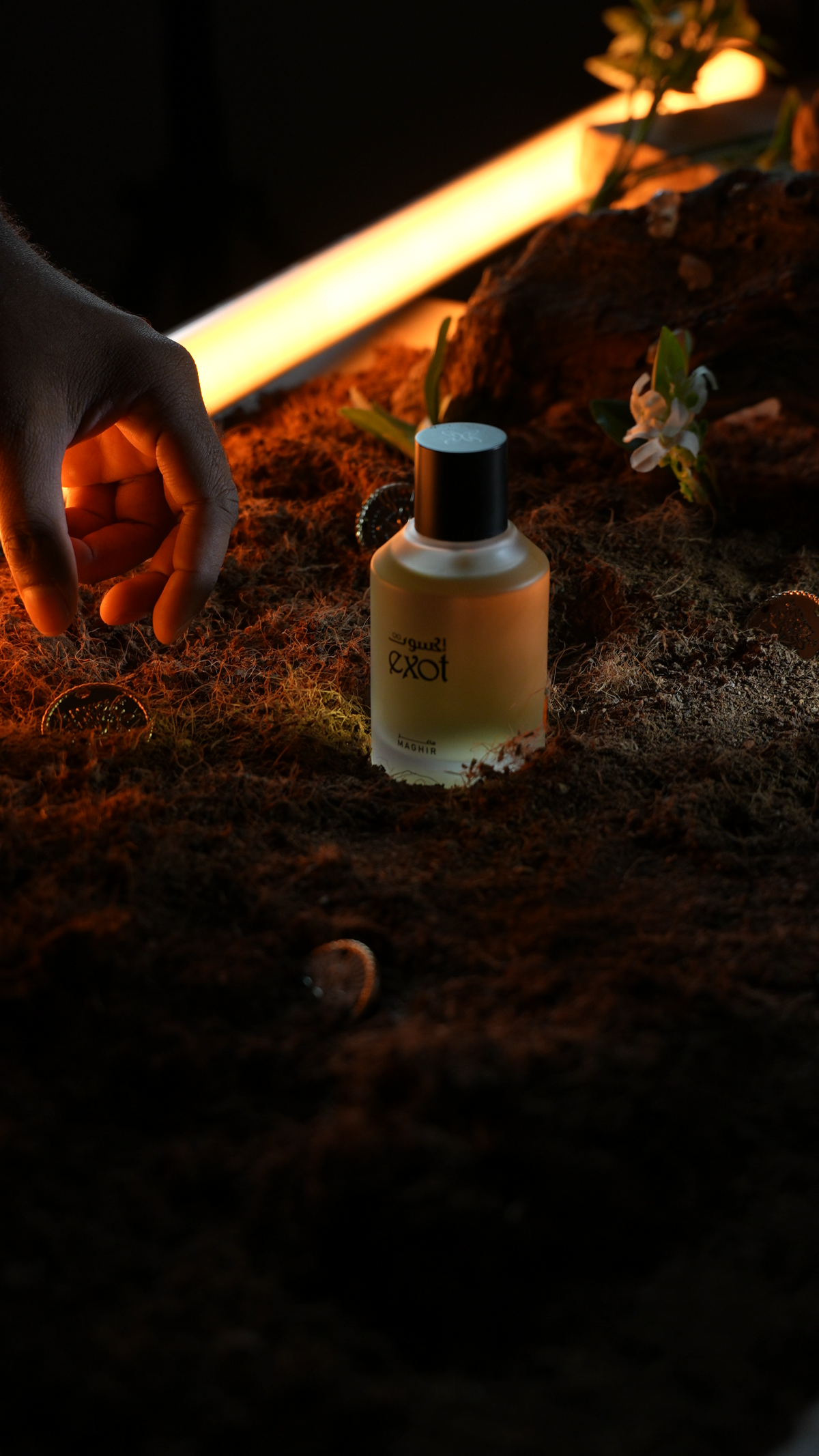Perfumes